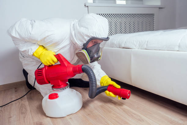 Trusted Agua Fria, NM Pest Control Experts