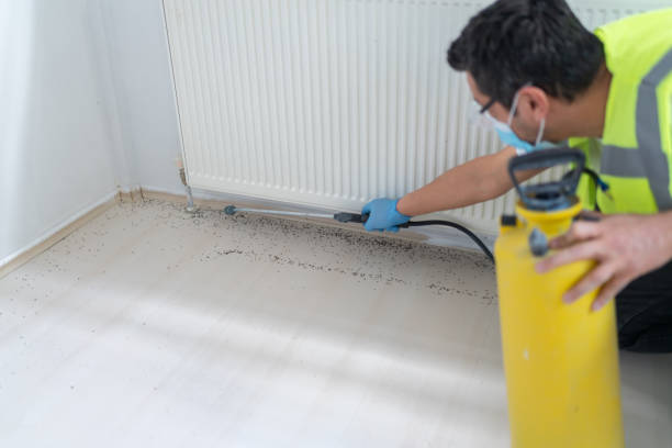 Best Affordable Pest Control Services  in Agua Fria, NM