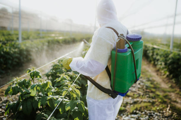 Wildlife Control Services in Agua Fria, NM